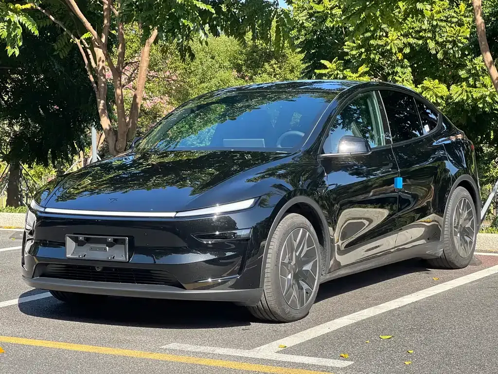 Tesla Model Y L 2025 из CN, фото 1