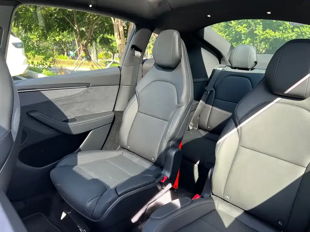 Tesla Model Y L 2025 из CN, фото 10