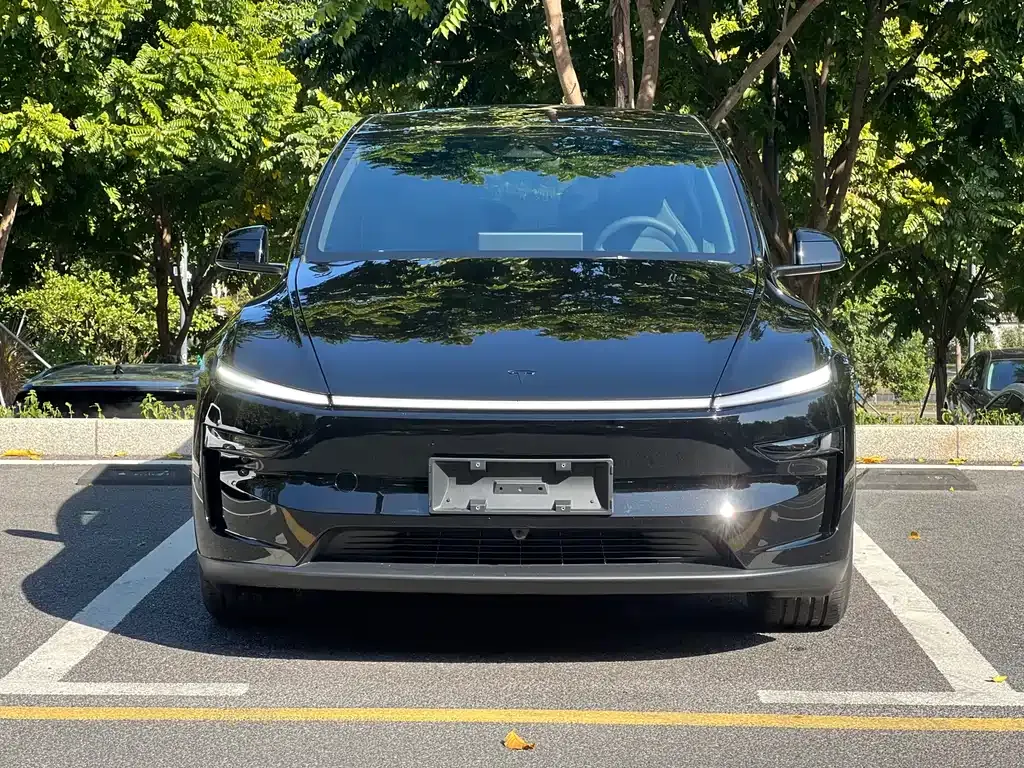 Tesla Model Y L 2025 из CN, фото 2