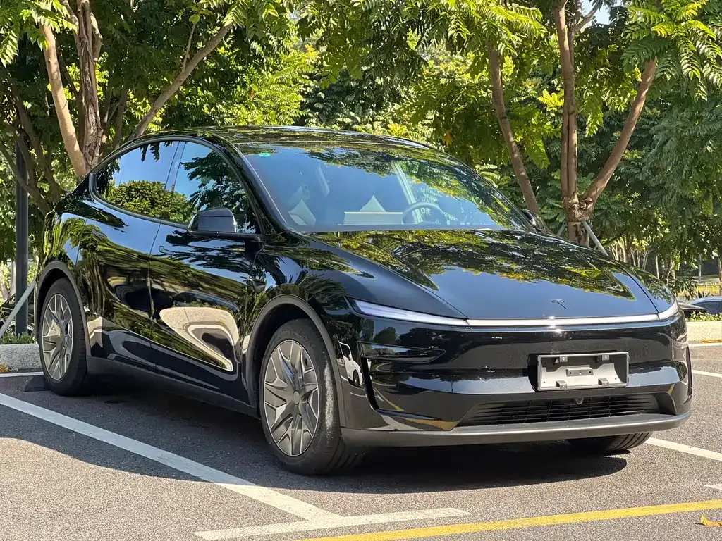 Tesla Model Y L 2025 из CN, фото 3