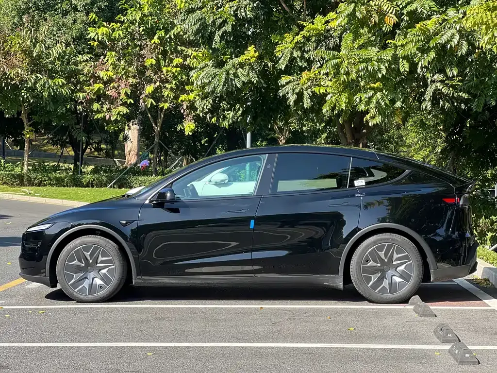 Tesla Model Y L 2025 из CN, фото 4