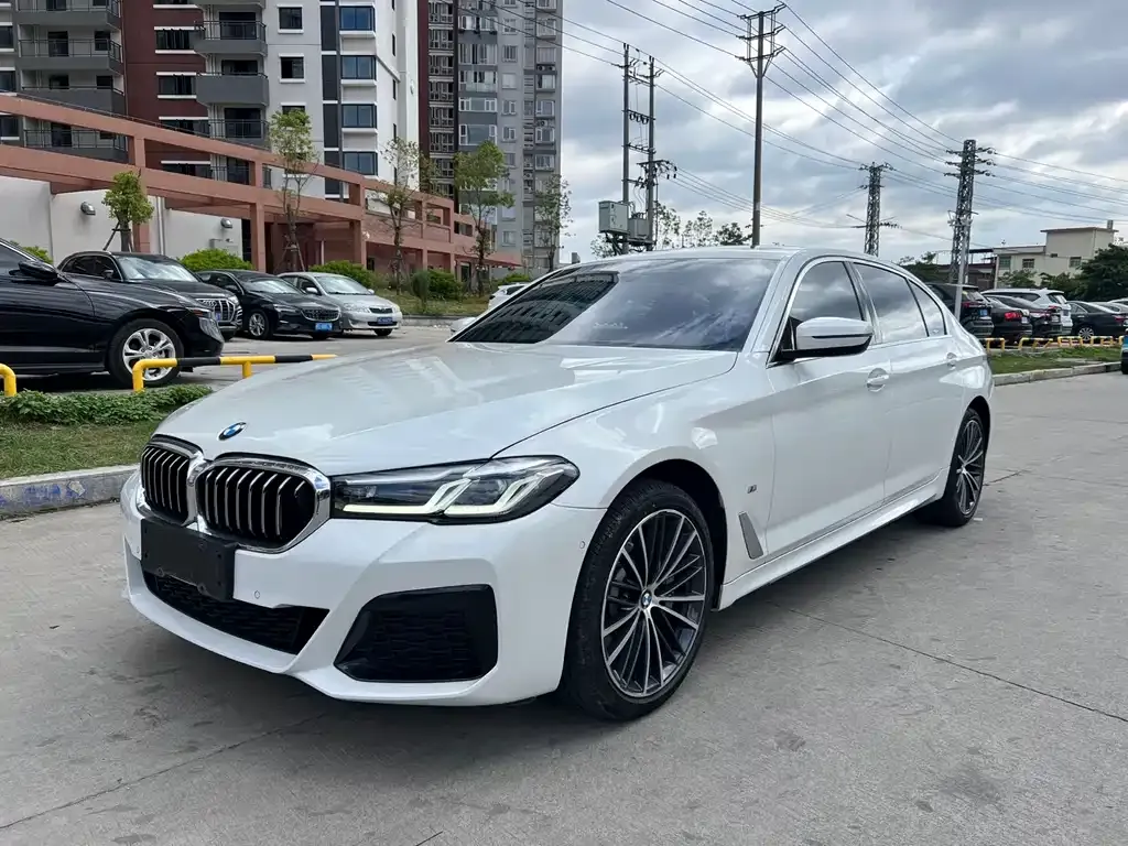 BMW 5 Series 2022 из CN, фото 1