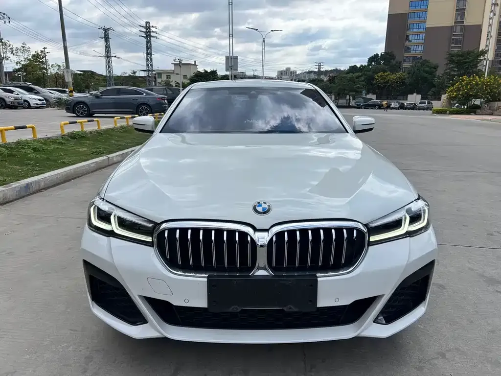 BMW 5 Series 2022 из CN, фото 2