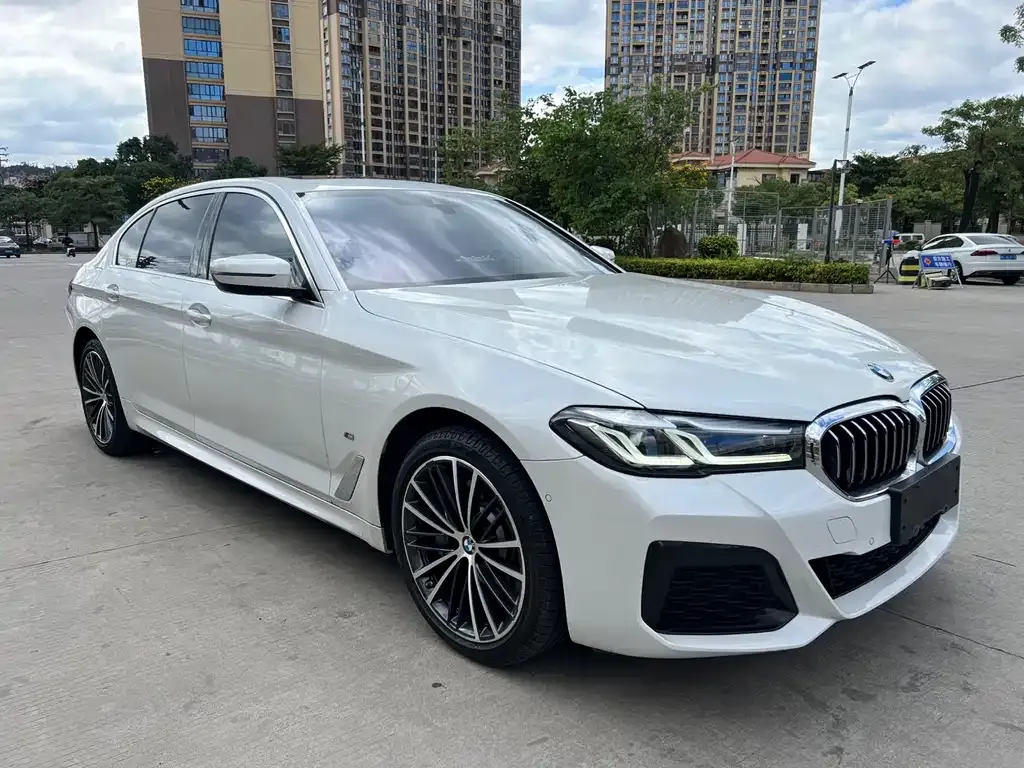 BMW 5 Series 2022 из CN, фото 3