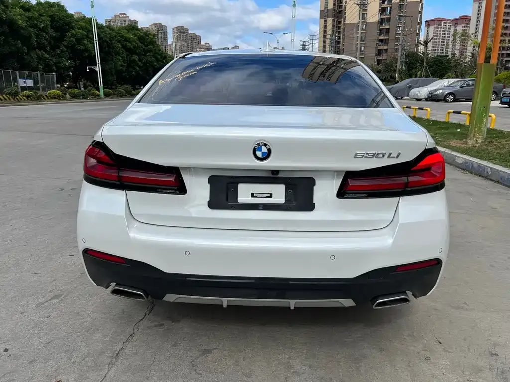 BMW 5 Series 2022 из CN, фото 8