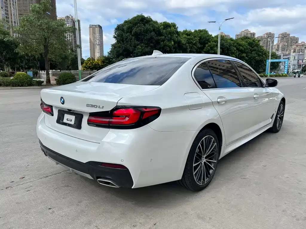BMW 5 Series 2022 из CN, фото 9