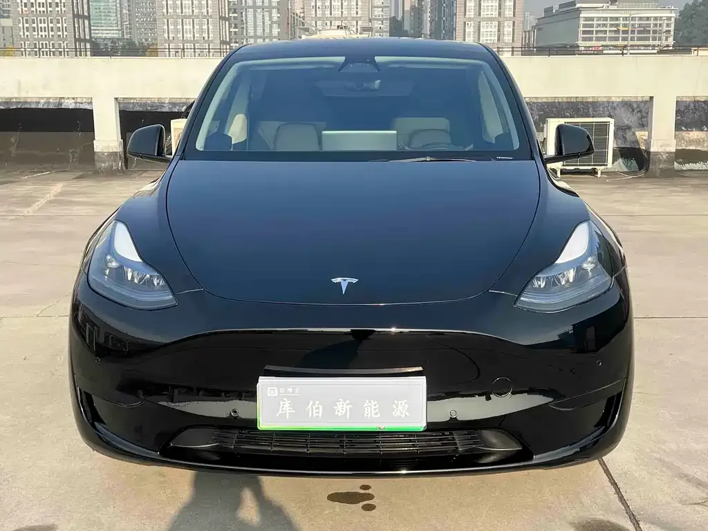Tesla Model Y 2023 из CN, фото 2