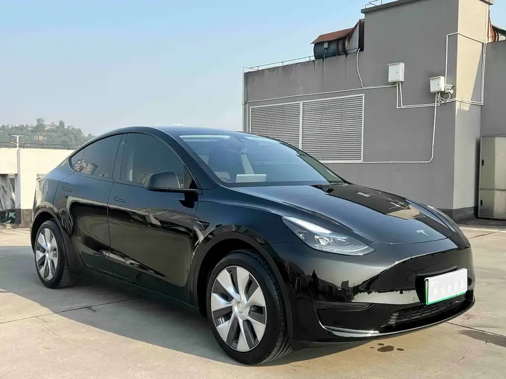 Tesla Model Y 2023 из CN, фото 3