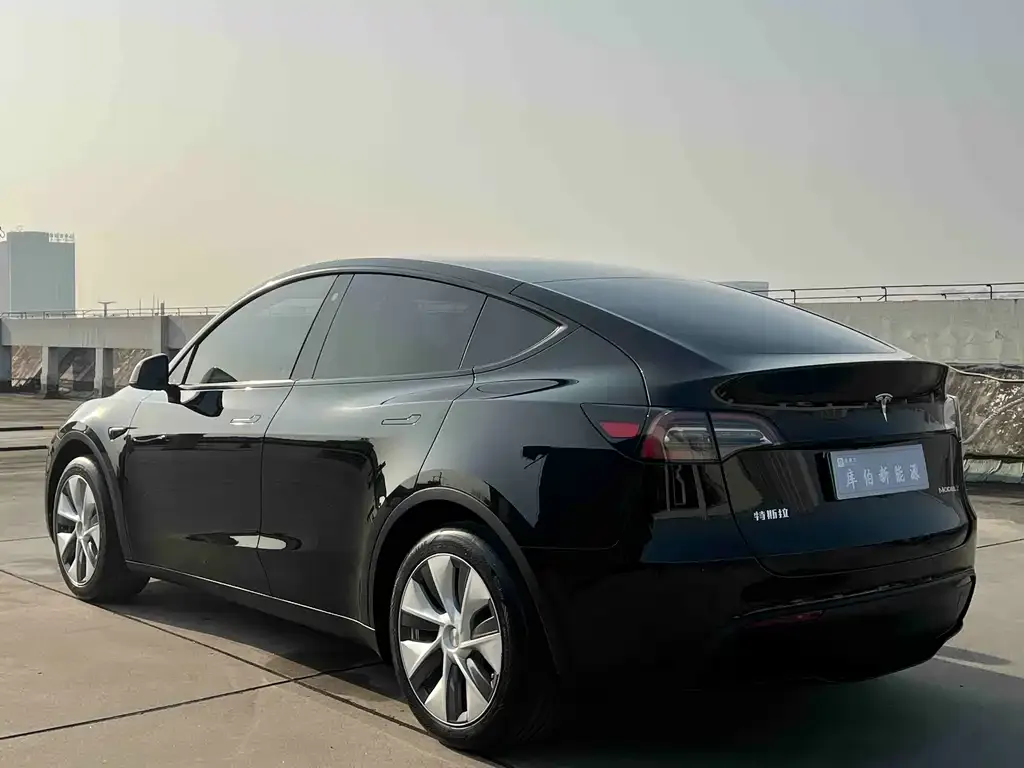 Tesla Model Y 2023 из CN, фото 6