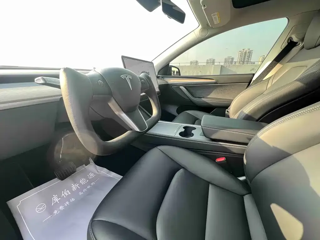 Tesla Model Y 2023 из CN, фото 9