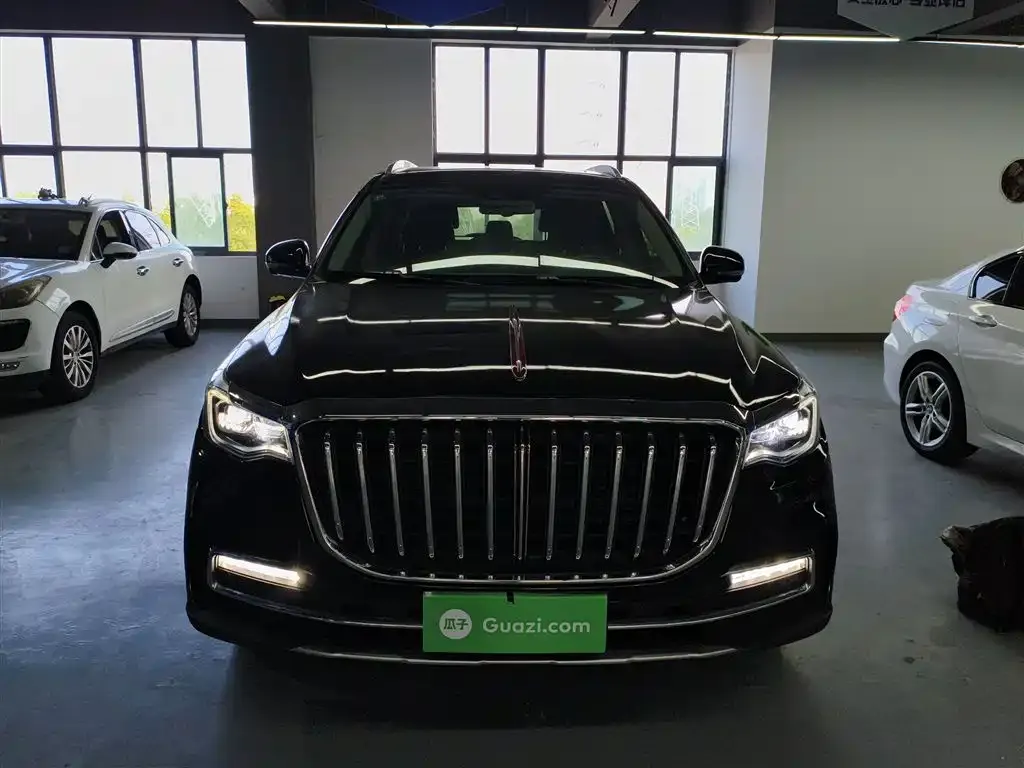 Hongqi HS7 2022 из CN, фото 3