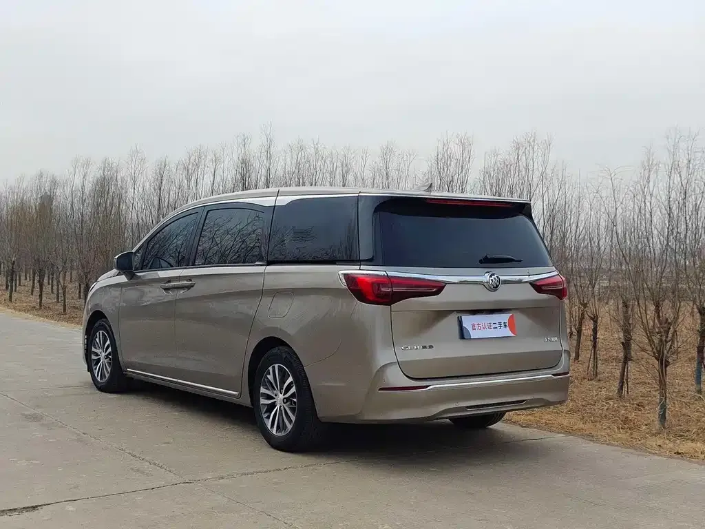 Buick GL8 2023 из CN, фото 6