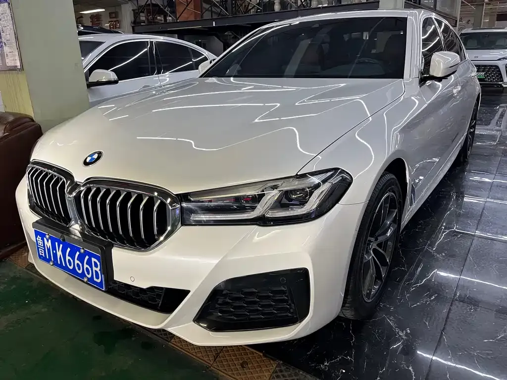 BMW 5 Series 2021 из CN, фото 1