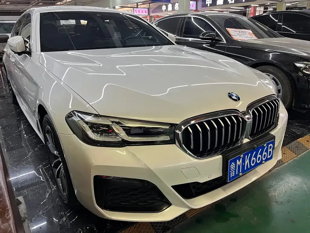 BMW 5 Series 2021 из CN, фото 2