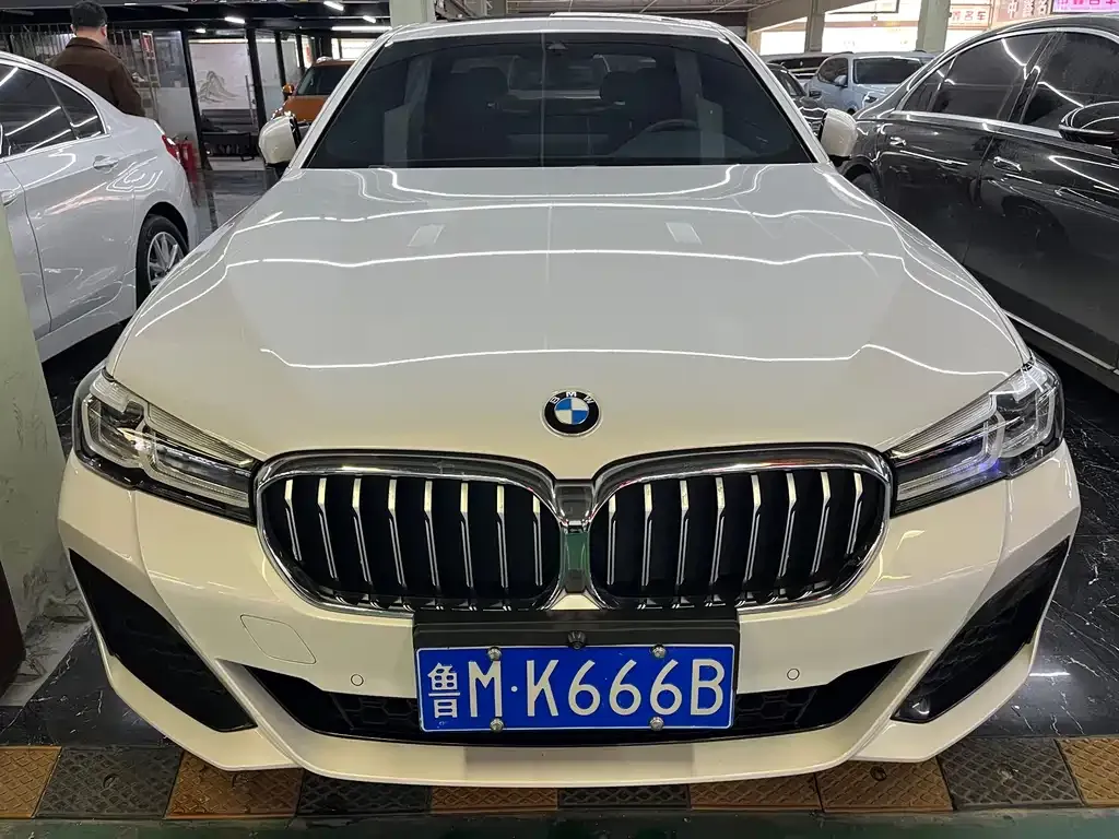 BMW 5 Series 2021 из CN, фото 3