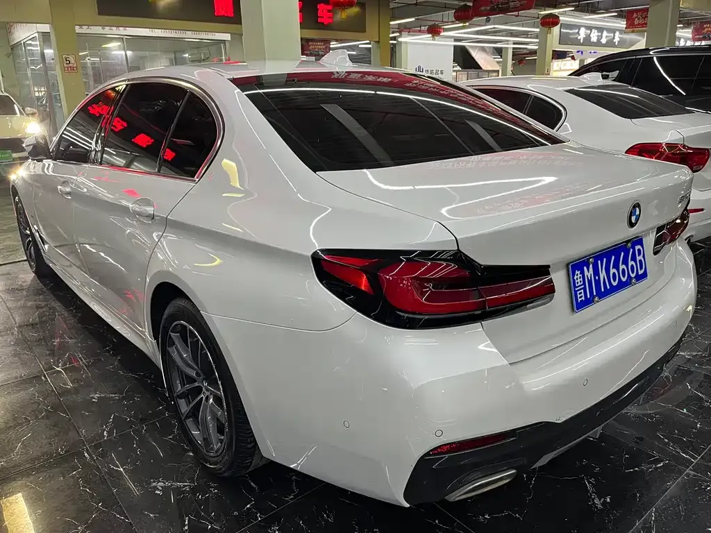BMW 5 Series 2021 из CN, фото 4
