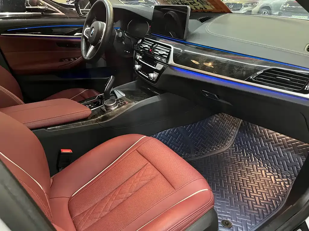 BMW 5 Series 2021 из CN, фото 5