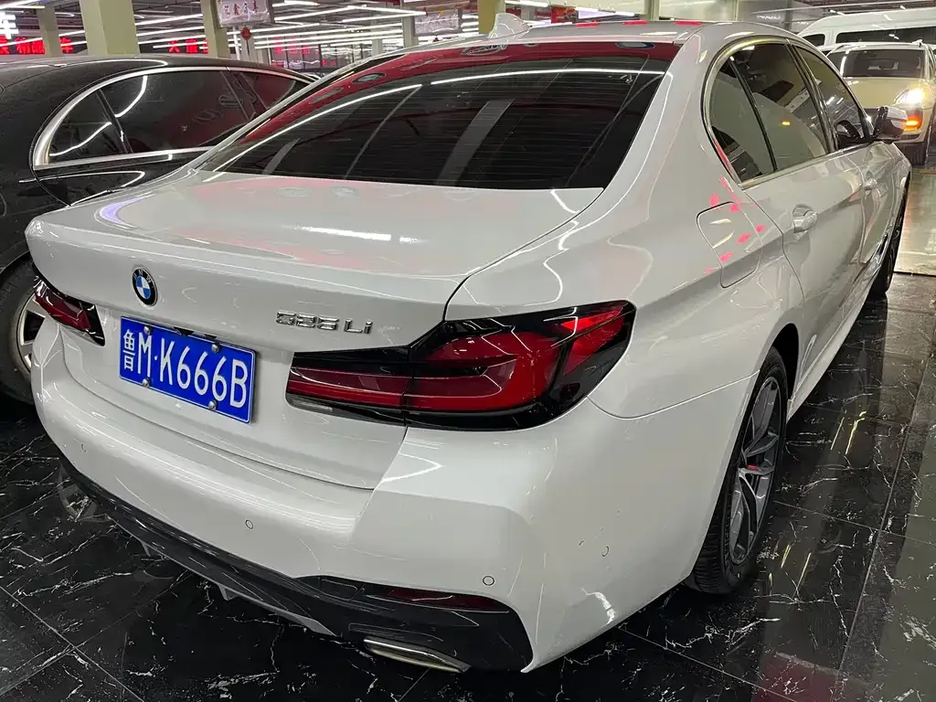 BMW 5 Series 2021 из CN, фото 6
