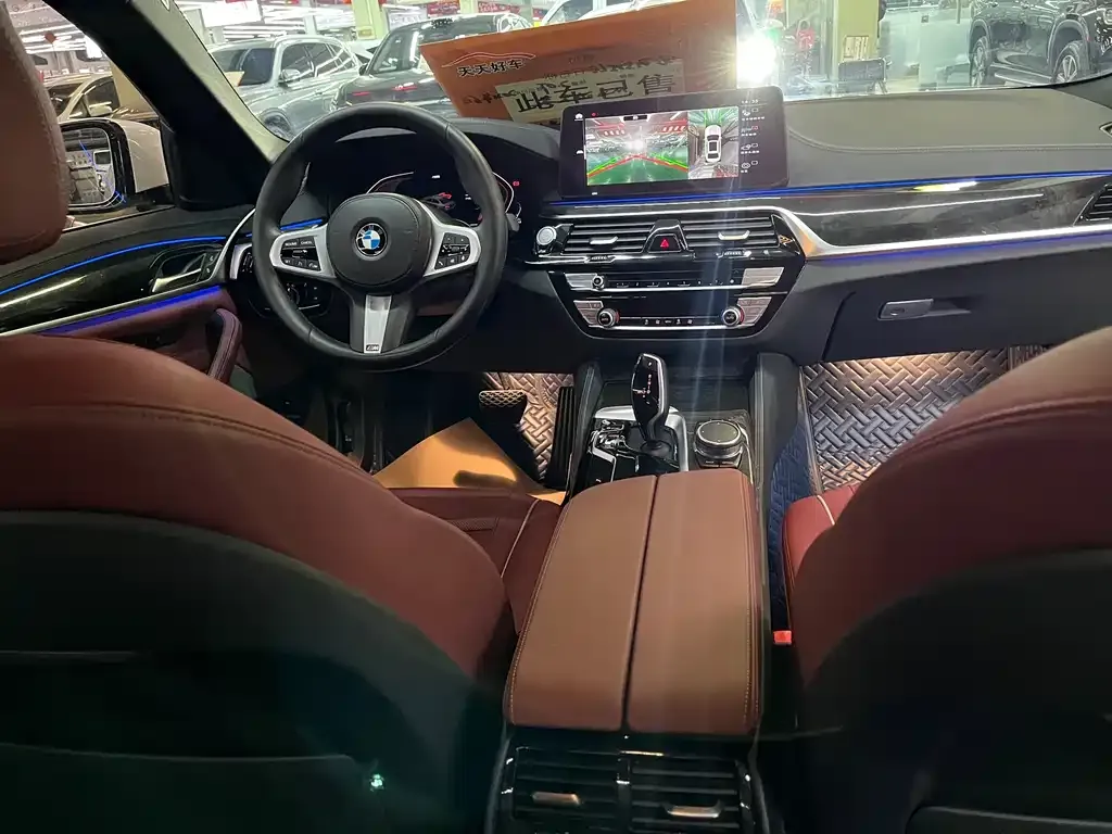 BMW 5 Series 2021 из CN, фото 7