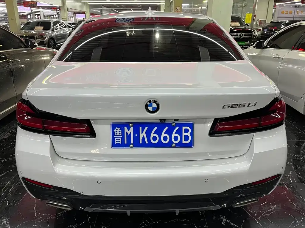 BMW 5 Series 2021 из CN, фото 8