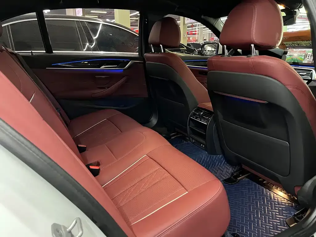 BMW 5 Series 2021 из CN, фото 9
