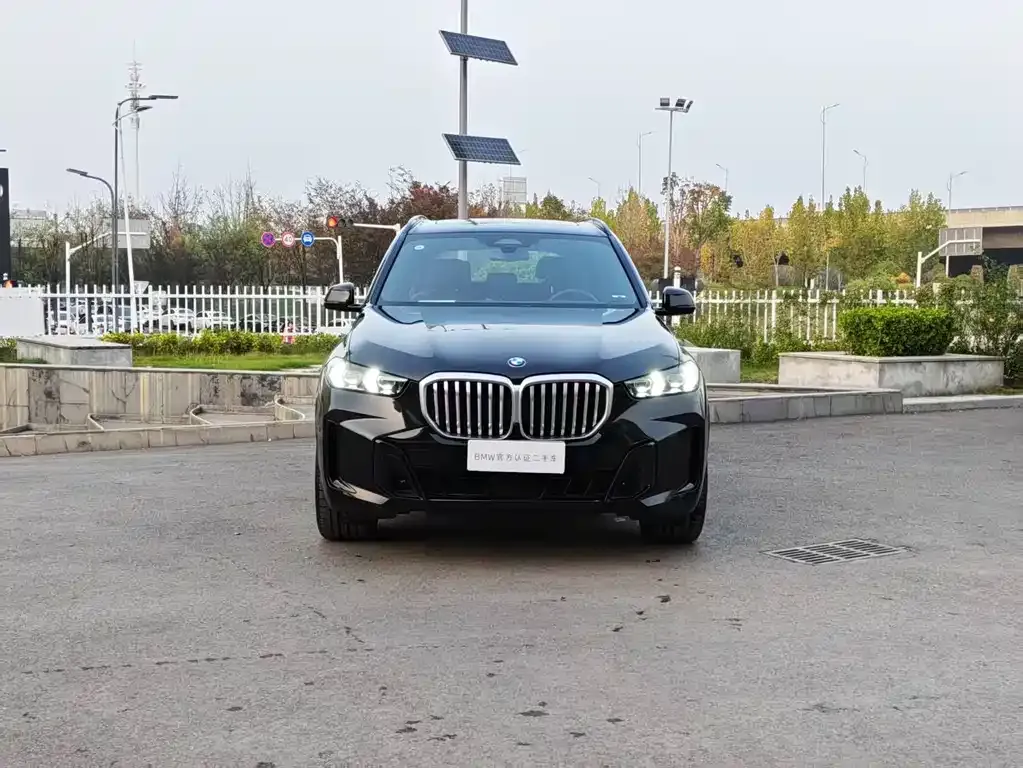 BMW X5 2025 из CN, фото 2