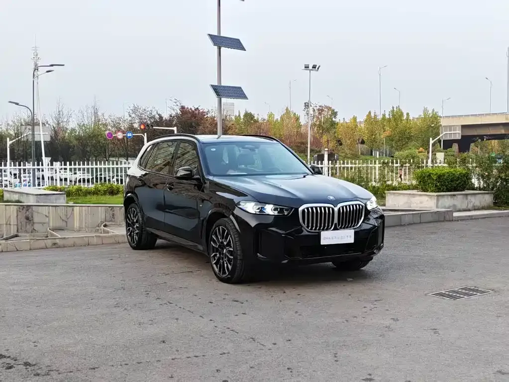 BMW X5 2025 из CN, фото 3