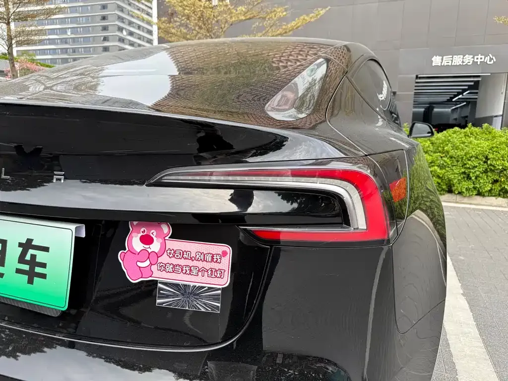 Tesla Model 3 2024 из CN, фото 8