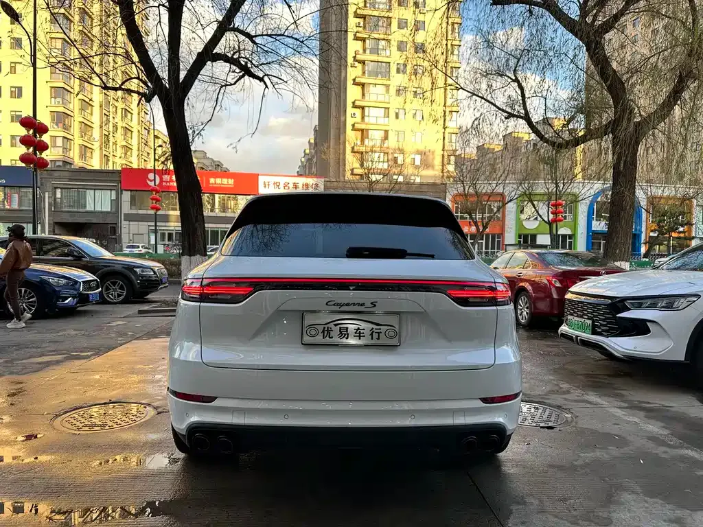 Porsche Cayenne 2022 из CN, фото 6