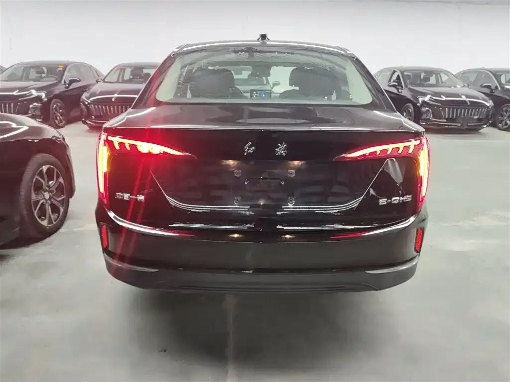 Hongqi E-QM5 2022 из CN, фото 6