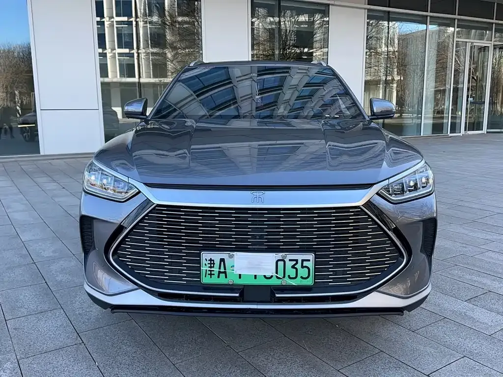 BYD PLUS New Energy 2023 из CN, фото 2