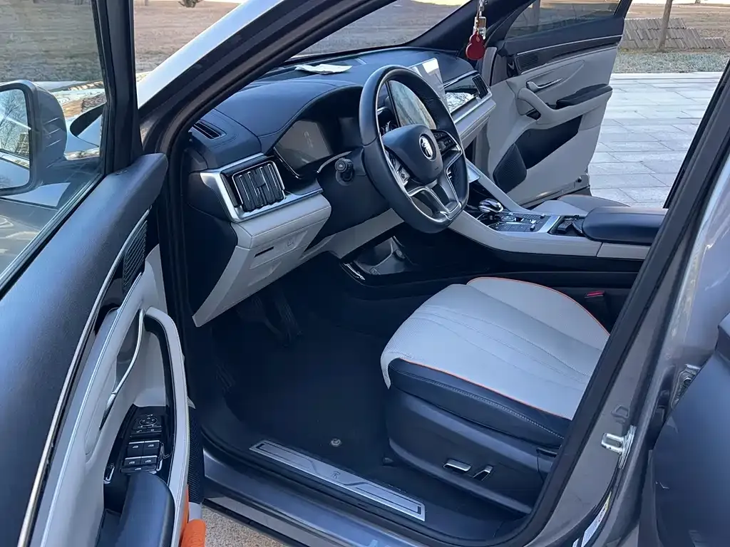 BYD PLUS New Energy 2023 из CN, фото 5