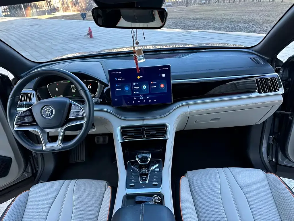 BYD PLUS New Energy 2023 из CN, фото 6