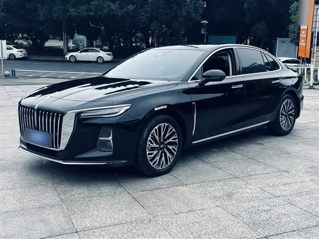 Hongqi H5 2023 из CN, фото 2