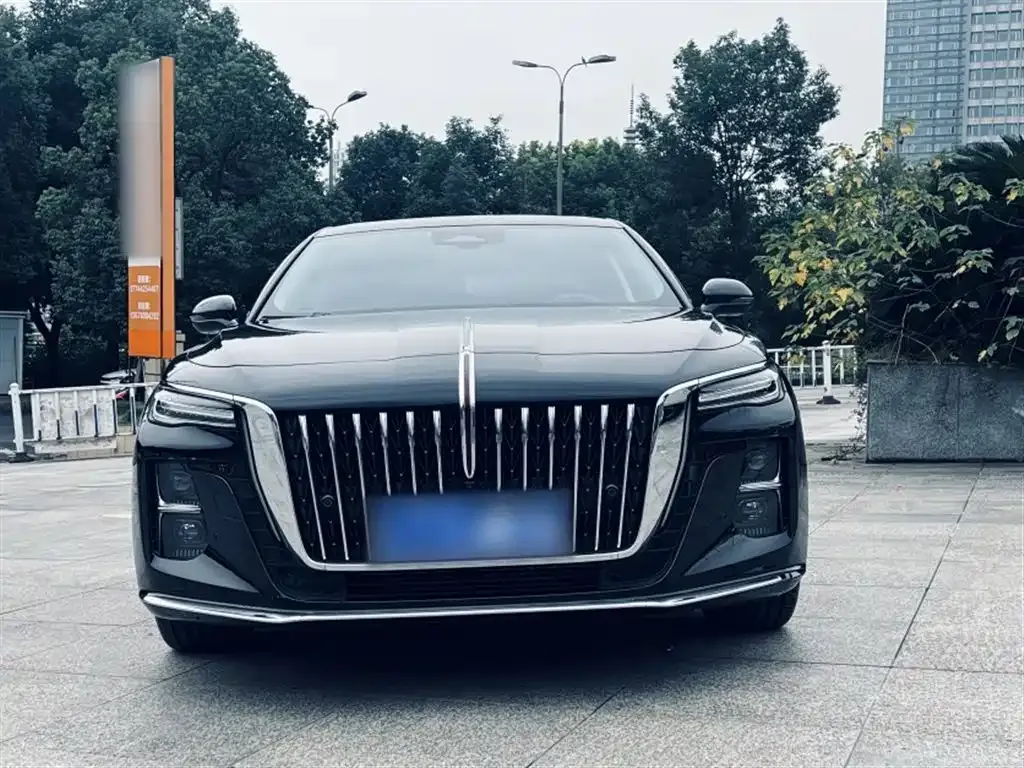 Hongqi H5 2023 из CN, фото 3