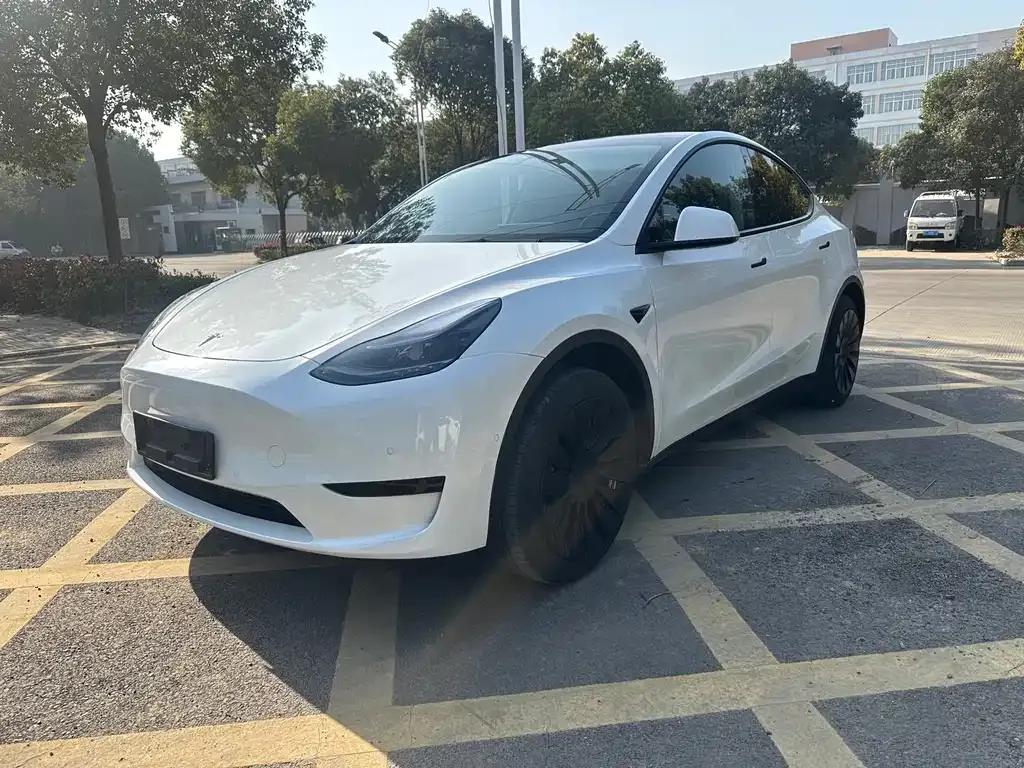 Tesla Model Y 2023 из CN, фото 1