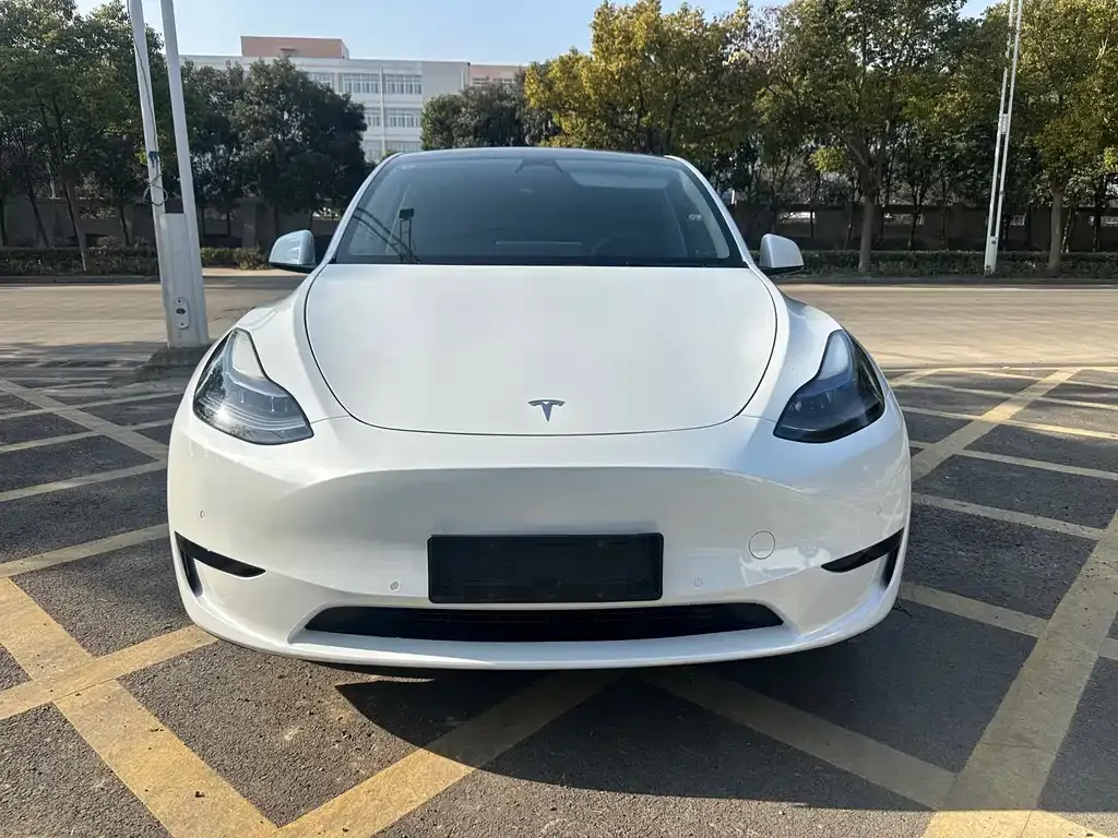 Tesla Model Y 2023 из CN, фото 2