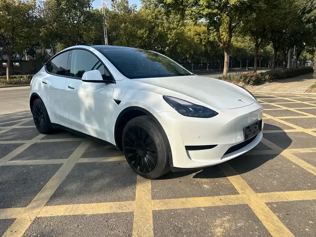 Tesla Model Y 2023 из CN, фото 3