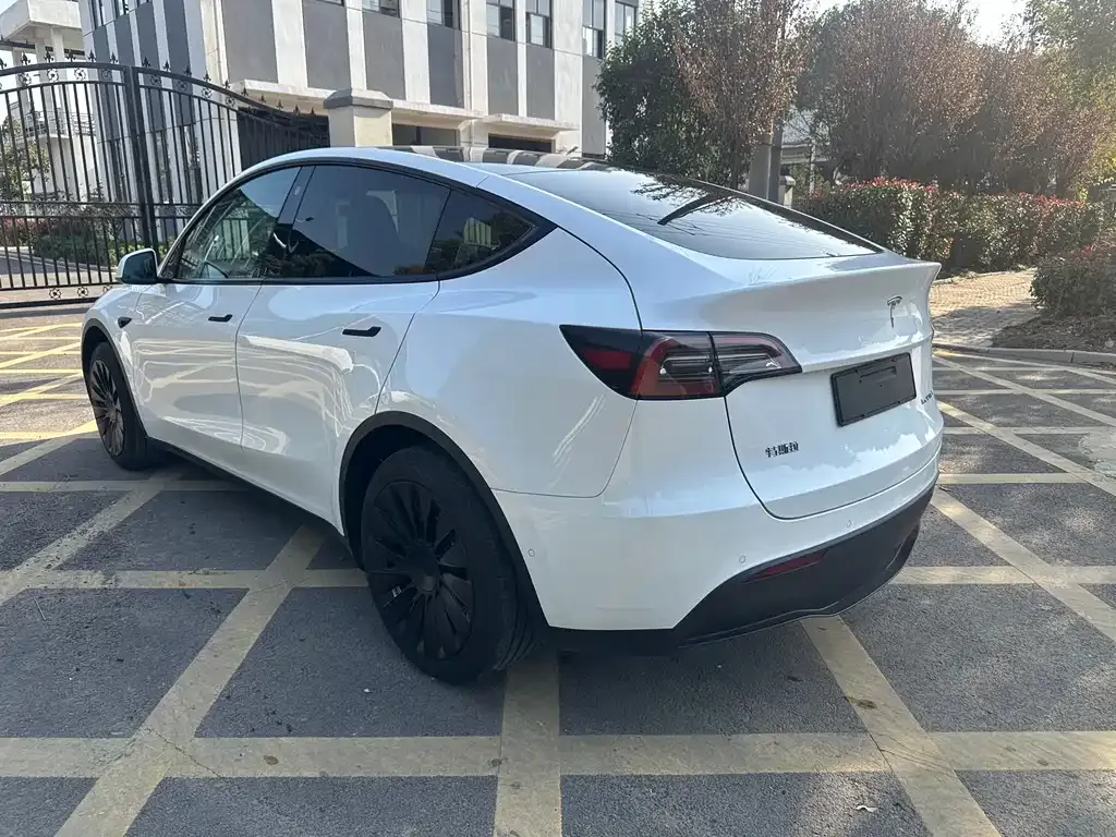 Tesla Model Y 2023 из CN, фото 5