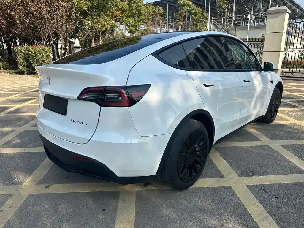 Tesla Model Y 2023 из CN, фото 6