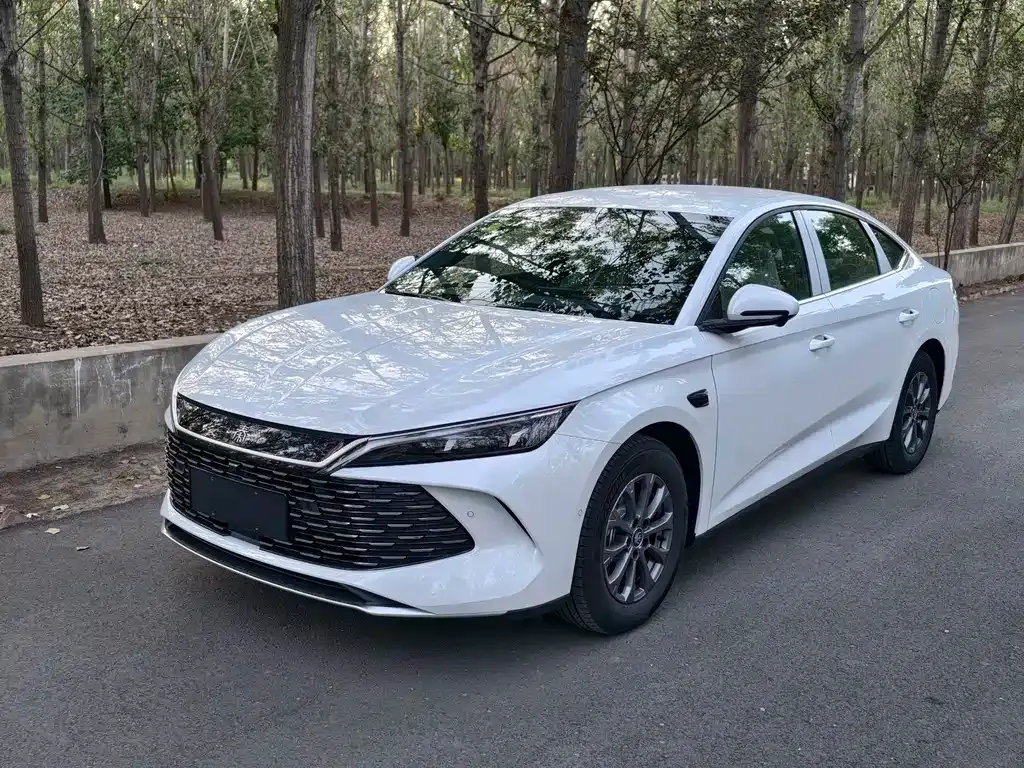 BYD Qin L — фото 1