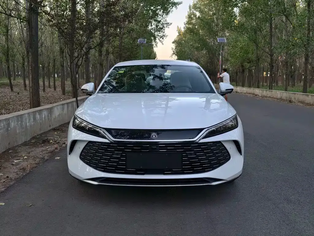 BYD Qin L — фото 3