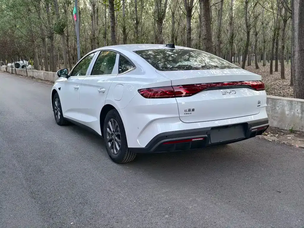 BYD Qin L — фото 4