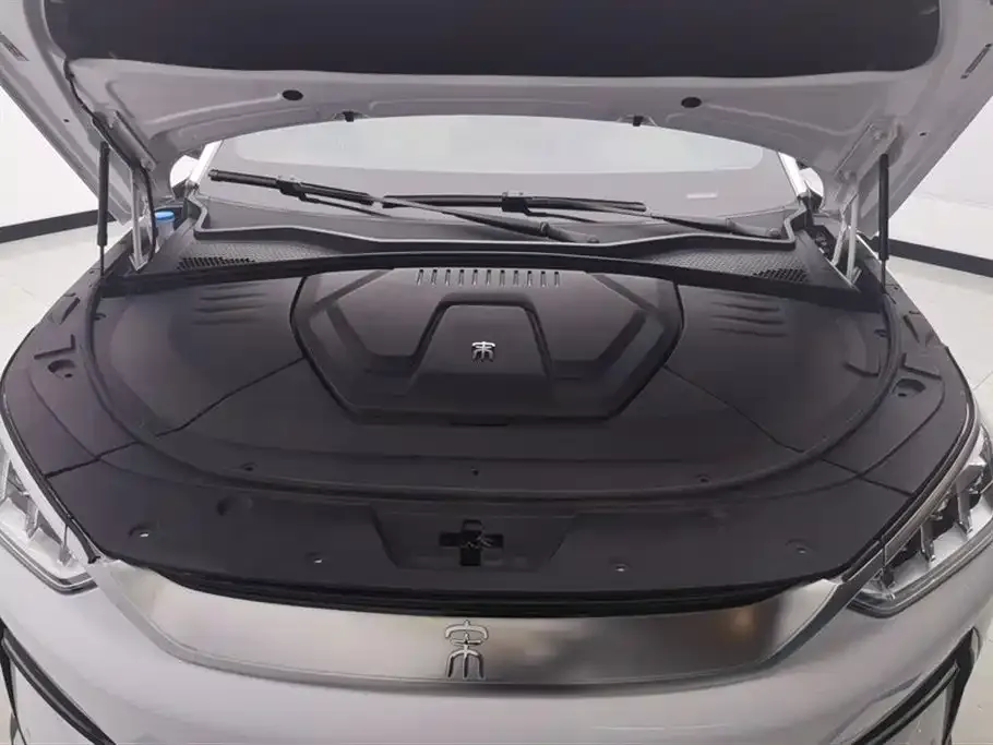 BYD PLUS New Energy 2022 из CN, фото 10