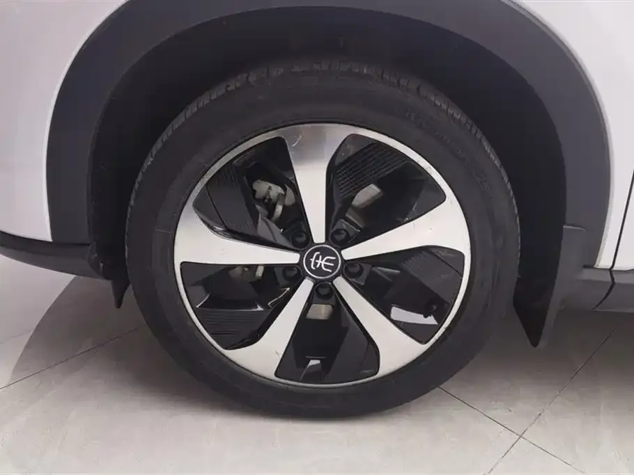 BYD PLUS New Energy 2022 из CN, фото 6