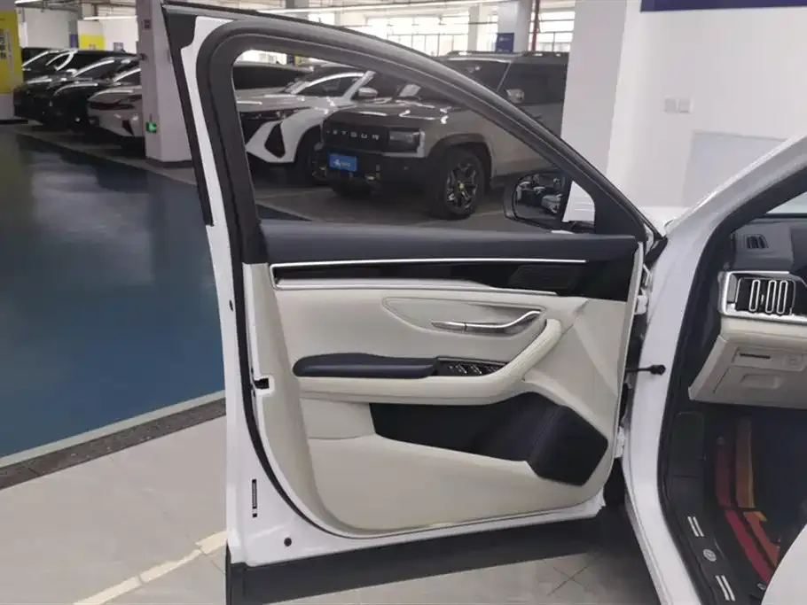 BYD PLUS New Energy 2022 из CN, фото 7