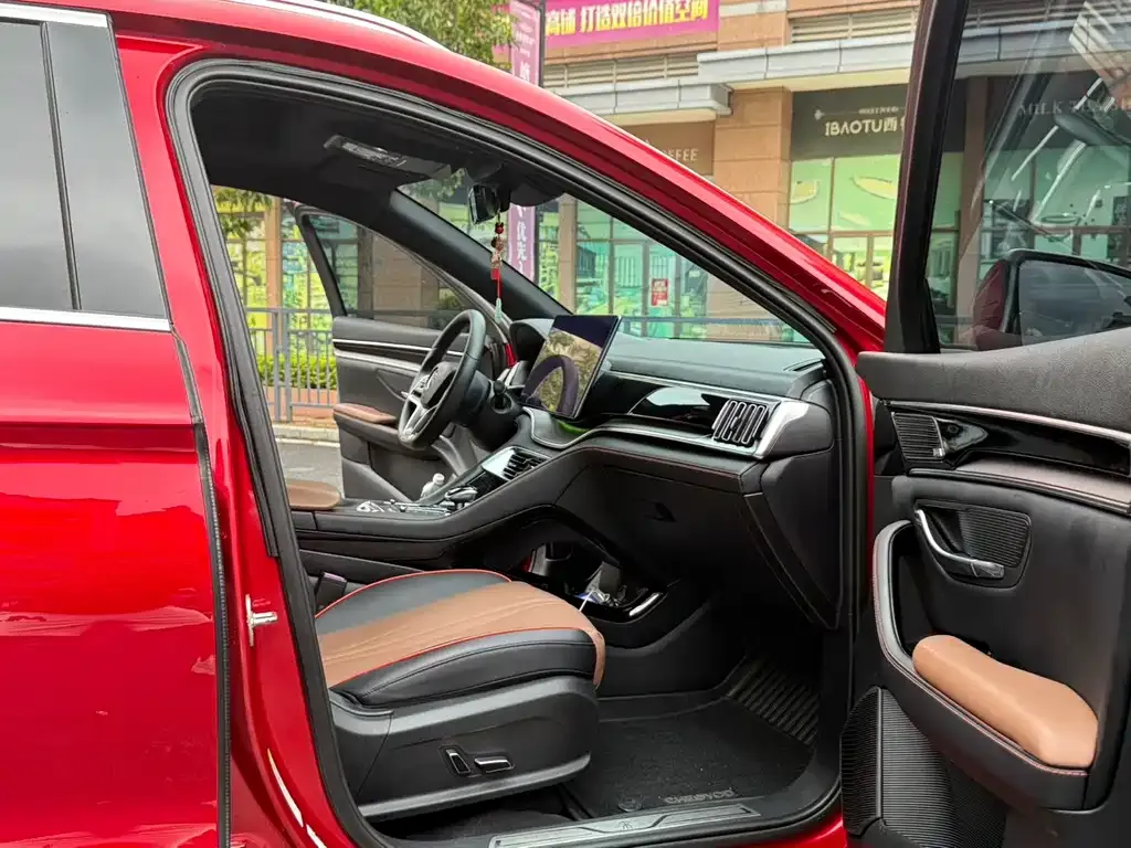 BYD PLUS New Energy 2022 из CN, фото 4