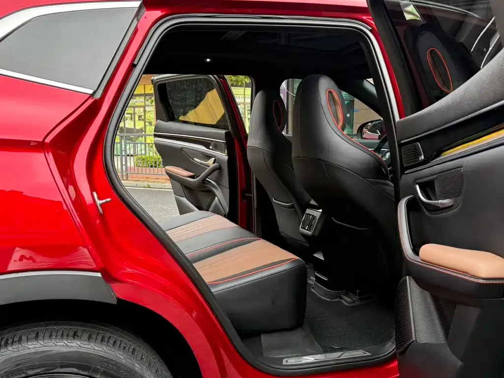 BYD PLUS New Energy 2022 из CN, фото 6