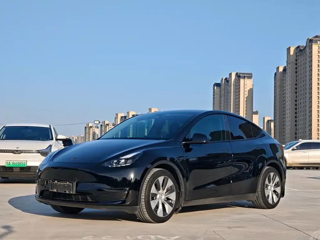 Tesla Model Y 2021 из CN, фото 1