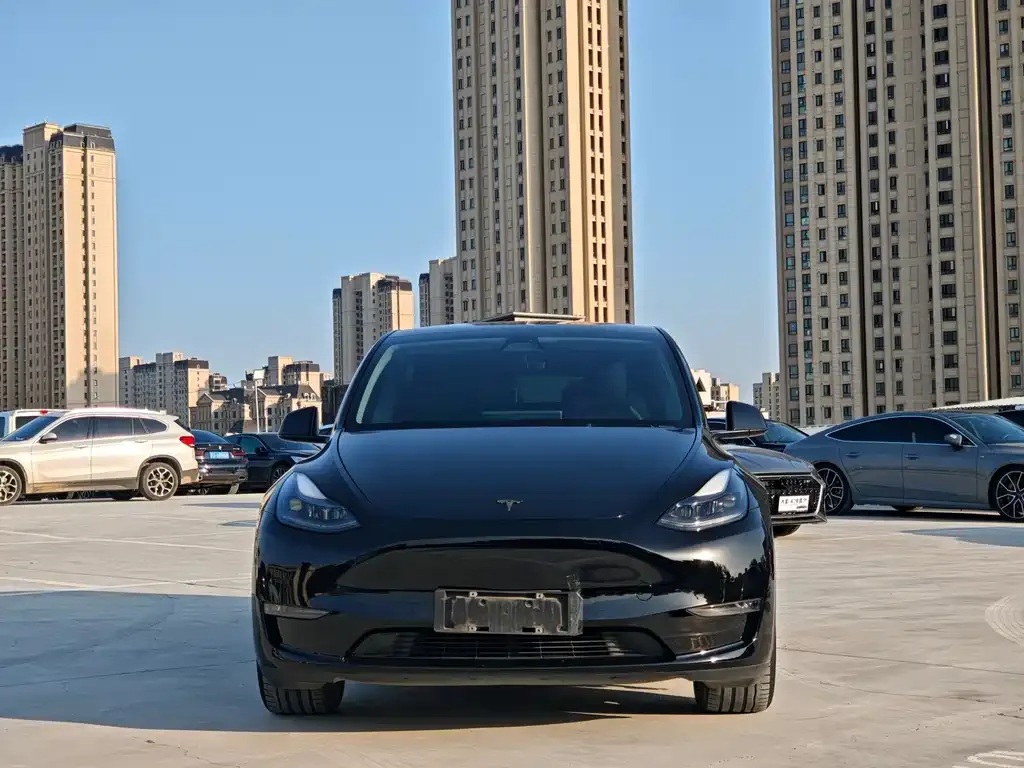 Tesla Model Y 2021 из CN, фото 2
